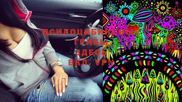 гашик Нягань