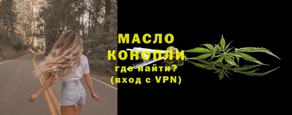 соль ск Няндома