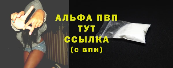 соль ск Няндома