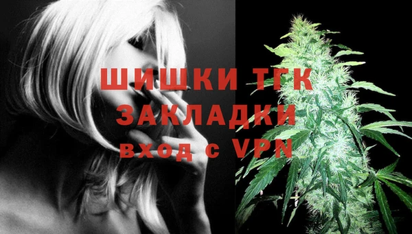 соль ск Няндома
