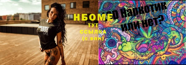 соль ск Няндома