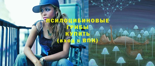 гашик Нягань
